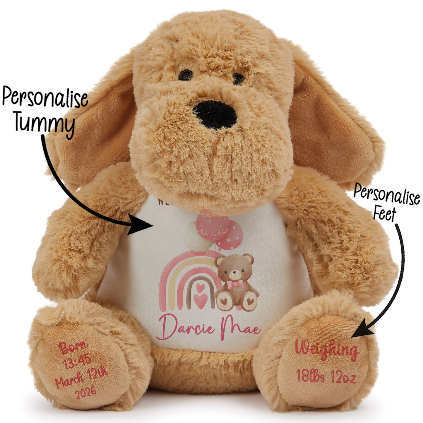Pink Rainbow Bear Balloons New Baby Personalised Teddy Bear