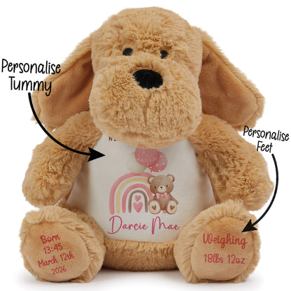 Pink Rainbow Bear Balloons New Baby Personalised Teddy Bear