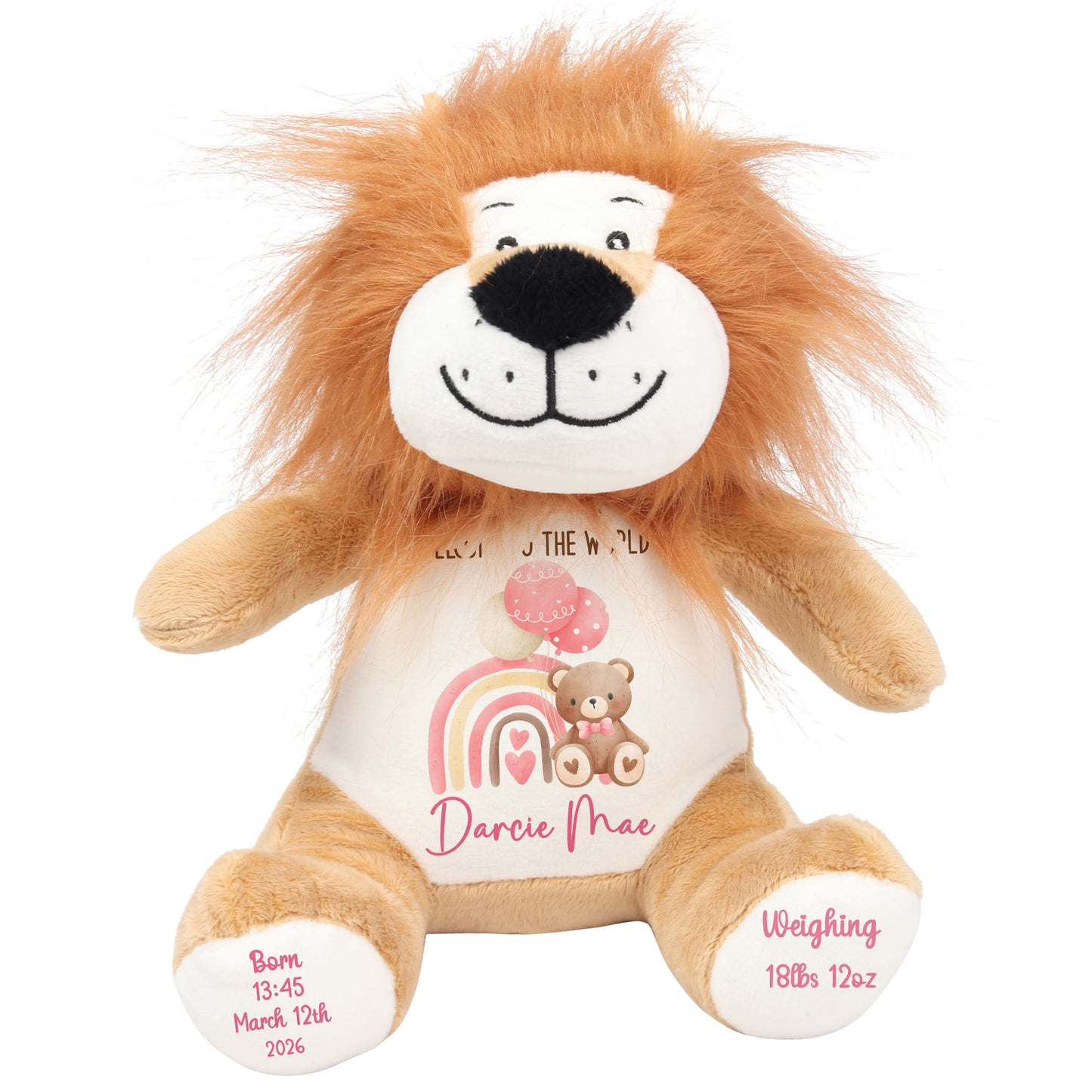 Pink Rainbow Bear Balloons New Baby Personalised Teddy Bear