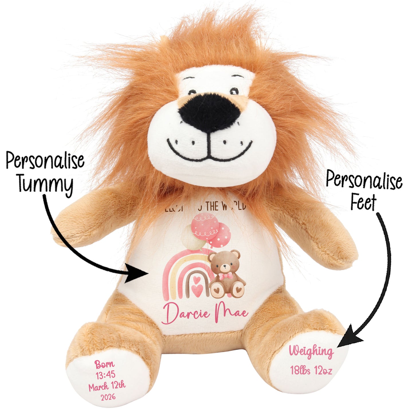 Pink Rainbow Bear Balloons New Baby Personalised Teddy Bear