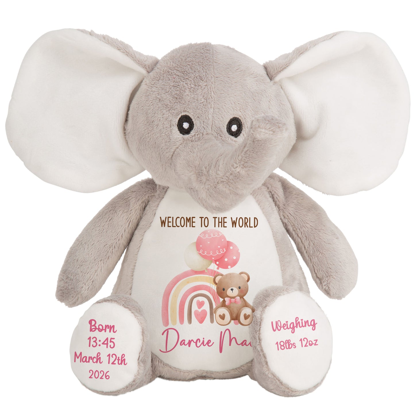 Pink Rainbow Bear Balloons New Baby Personalised Teddy Bear