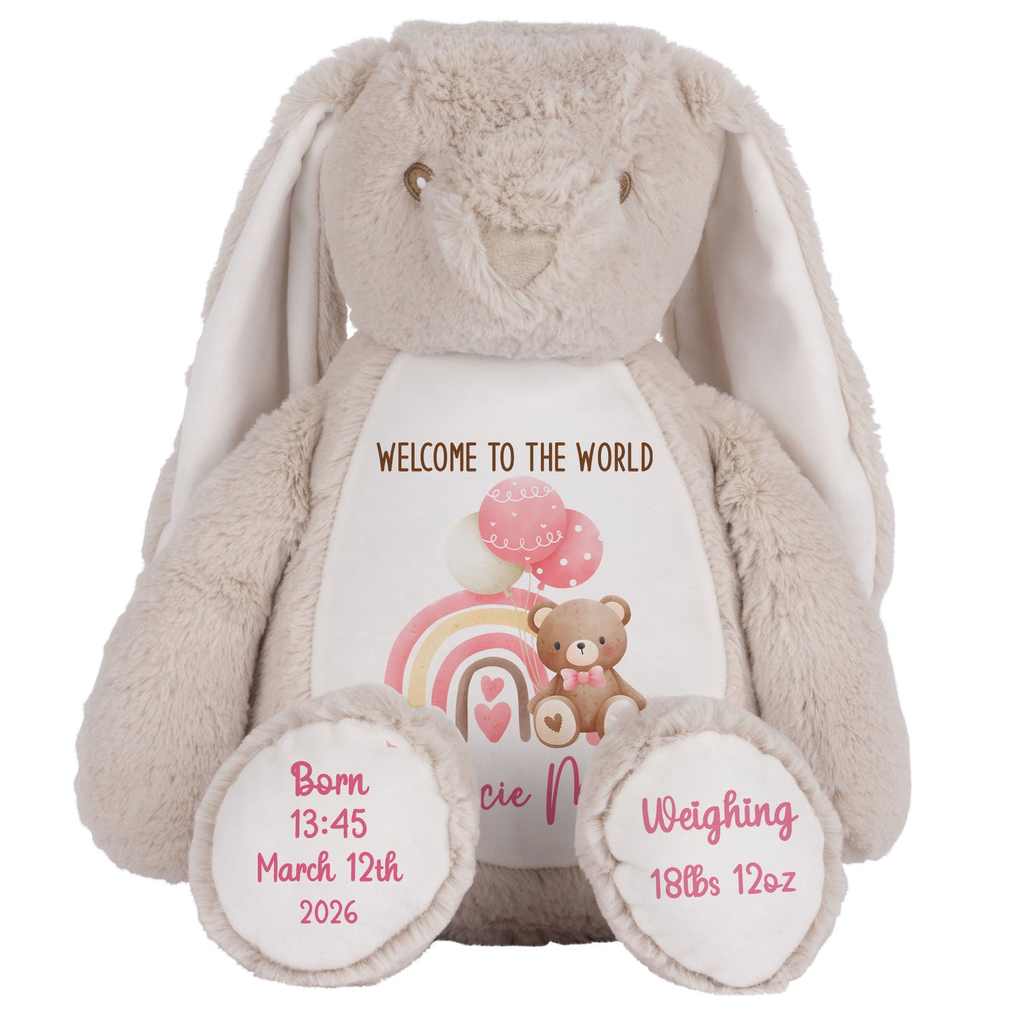Pink Rainbow Bear Balloons New Baby Personalised Teddy Bear