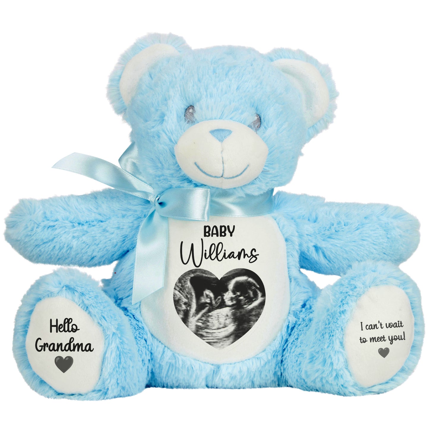 blue teddy bear personalised teddy bear