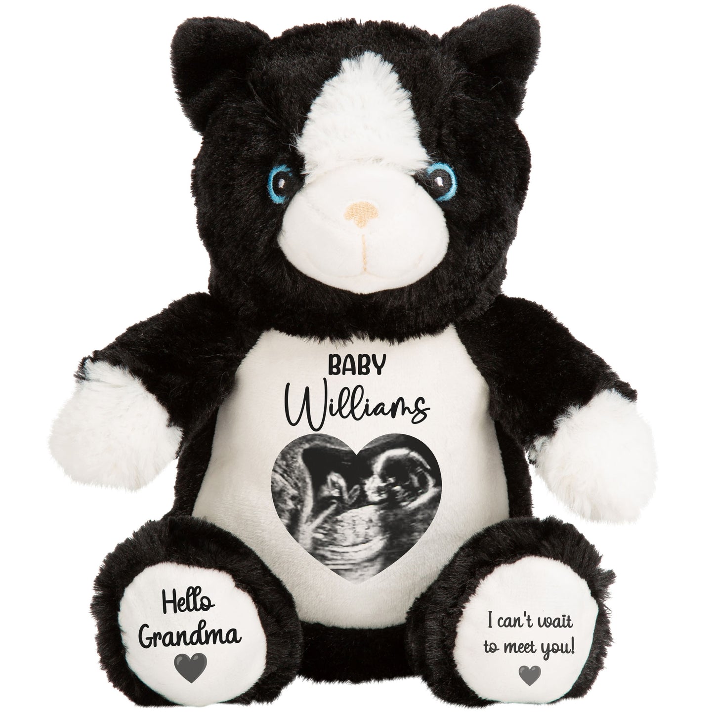 cat teddy personalised teddy bear