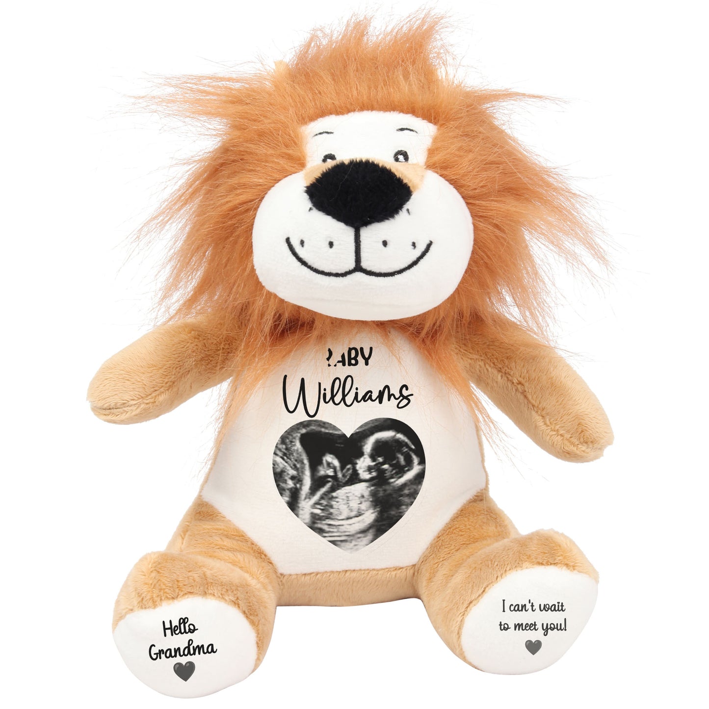 lion teddy personalised teddy bear