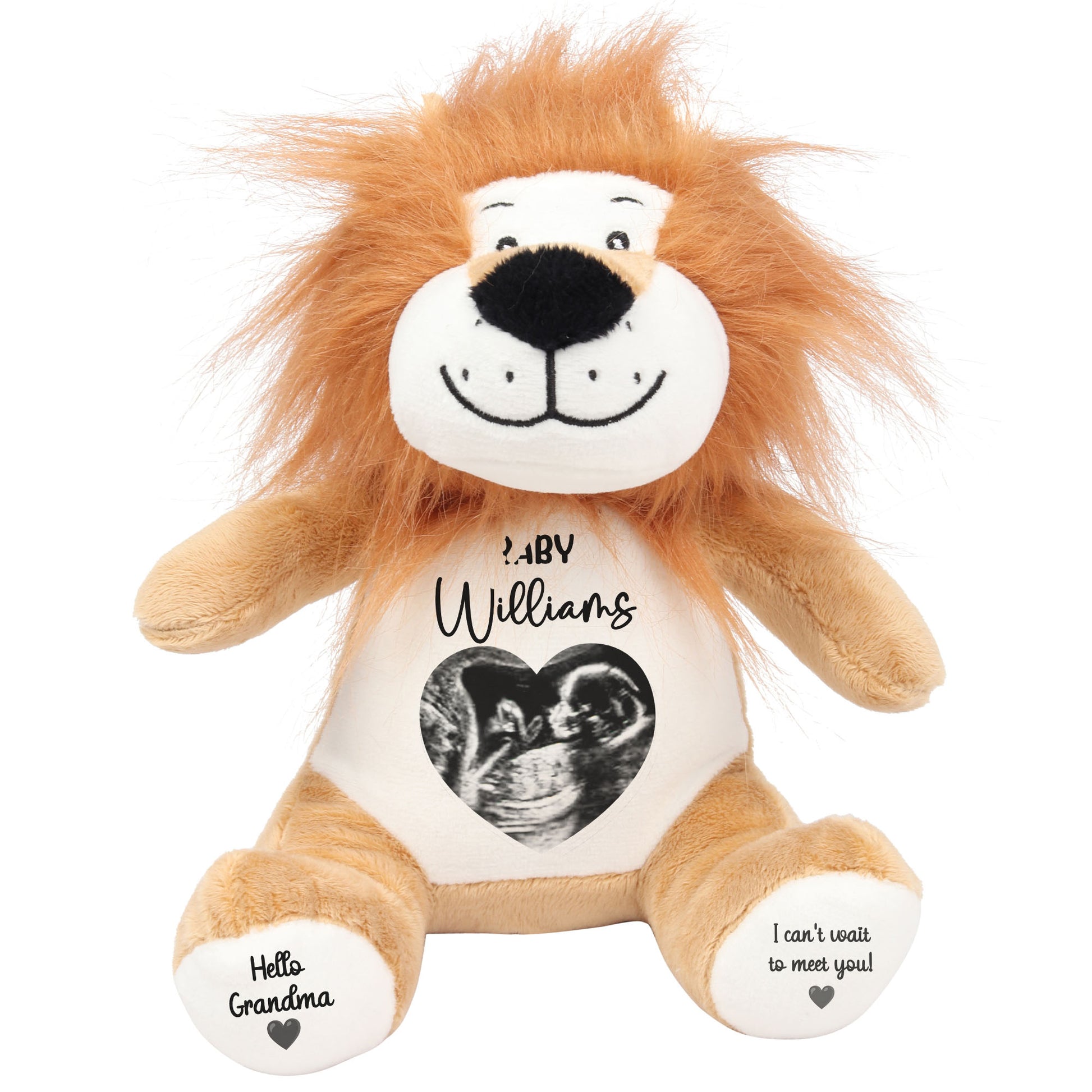 lion teddy personalised teddy bear
